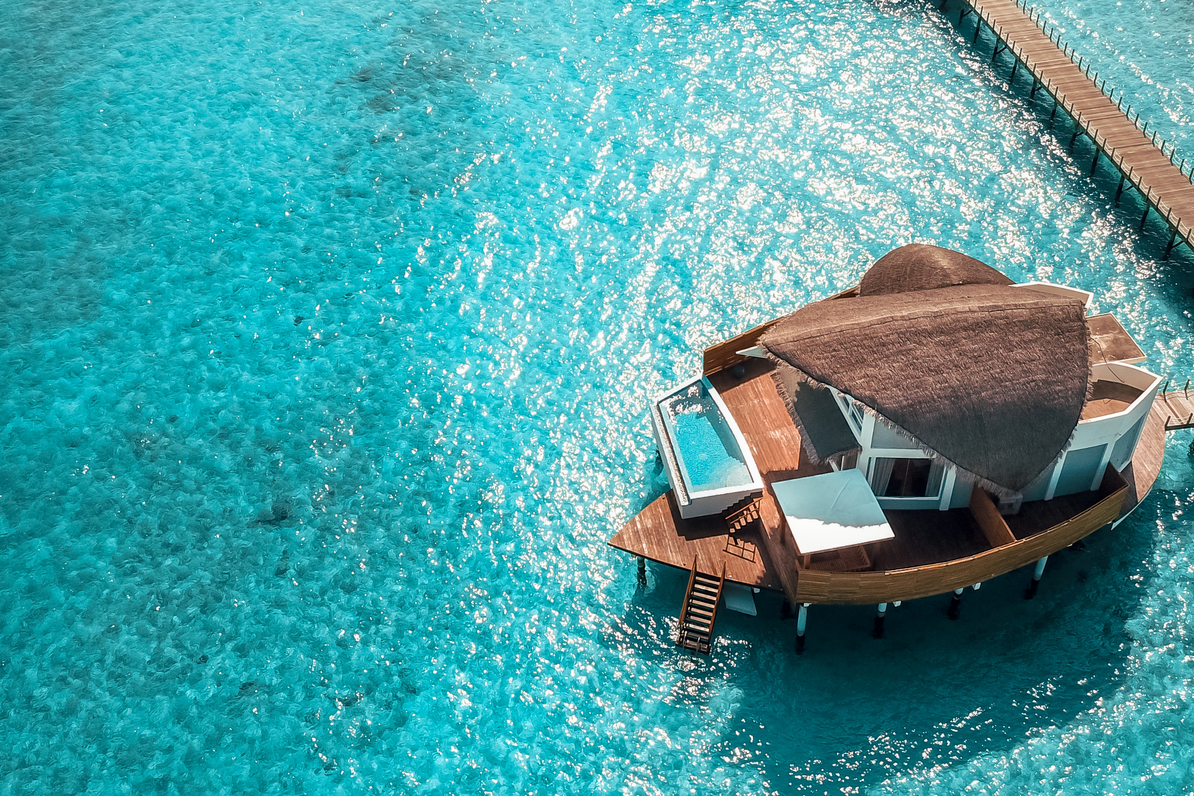 198 maldives islands.webp